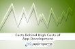Facts Behind High Costs of App Development