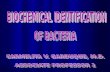 Biochemical tests (1st part)