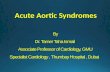Acute aortic syndromes
