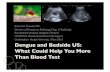Dengue and Bedside Ultrasound