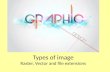 Lesson 3  graphics types