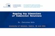 Mapping key dimensions of industrial relations - 2016