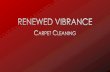 Renewed Vibrance Carpet Cleaning