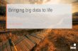 Bringing big data to life
