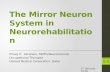 Mirror neuron system in neuro rehabilitation