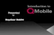 Q Mobile Presentation