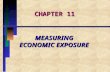 Measuring economic exposure