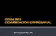 COEM 3002 Comunicación empresarial
