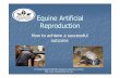 Equine artificial reproduction: How to achieve a successful outcome Dr Greg Rodda