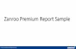 Zanroo Premium Report Sample