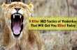 Killer seo tactics of yesterday that will get you killed today by Stoney G deGeyter