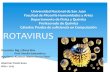 Presentacion rotavirus