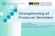 Strengthening of producer society
