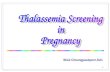 Thalassemia screening in pregnancy, Quality improvement and Evidence based practice