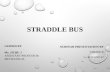 Straddle bus (3D bus)