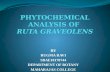 PHYTOCHEMICAL ANALYSIS OF RUTA GRAVEOLENS