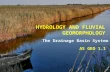 CAMBRIDGE GEOGRAPHY AS - HYDROLOGY AND FLUVIAL GEOMORPHOLOGY; 1.1. DRAINAGE BASIN SYSTEMS