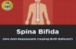Spina Bifida Birth Defects: Possible Causes of Congenital Injuries Explored
