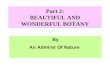 Part 2: Beauty Botany