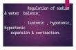 Regulation of sodium & water  balance