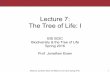 BiS2C: Lecture 7: The Tree of Life
