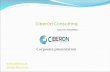 Corporate presentation -CiberOn Consulting