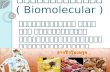 สารชีวโมเลกุล ( Biomolecular )