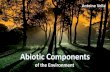 Abiotic components of the environment