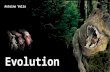 Emp 1003 Evolution
