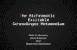 Valeri Labunets - The bichromatic excitable Schrodinger metamedium