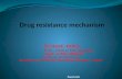 Drug resistance mechanism
