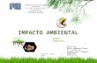 Impacto Ambiental - Bases Teoricas