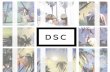 DSC - Digital Shopping Channel - Deck