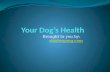 Your dog’s health