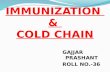 Immunization & cold chain