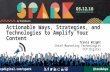 SPARK 2016: How to Amplify Targeted Content With Targeted Social Advertising & Content Technologies