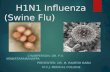 H1 N1 influenza (swine flu)