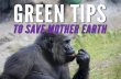Greent Tips to Save Mother Earth