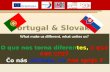 Portugal   slovakia