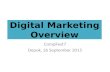 Digital Marketing Overview in Indonesia
