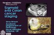 Staging colon and sigmoid cancer by CT and MRI
