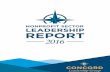 Nonprofit Sector Leadership Report 2016