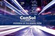 ConSol Partners Drupal Overview