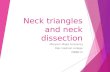 neck triangles