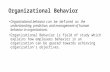 Organizational behavior (Full Course Notes) ppt