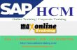 SAP HCM Organizational Management and Integration