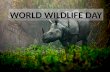 Nishan Kohli -Save Wild Life..