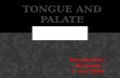 Tongue and palate