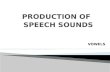 Production of Speech Sound: Vowels
