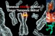 Telomerase Inhibition as Novel Cancer Therapeutic Method